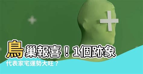 有鳥來家裡築巢 九宮格2023